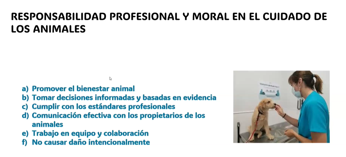 Introducción a medicina veterinaria