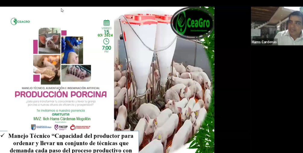 PRODUCCIÓN PORCINA: MANEJO TÉCNICO Y ALIMENTACIÓN