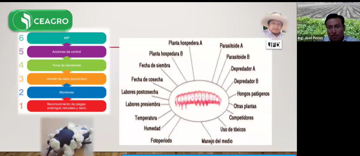 Agroecología MIPE