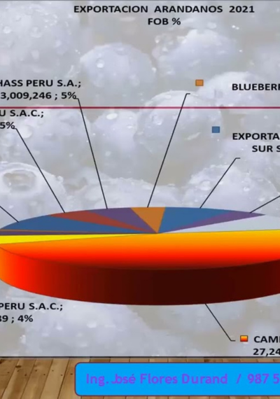 Sistemas de producción en arándanos