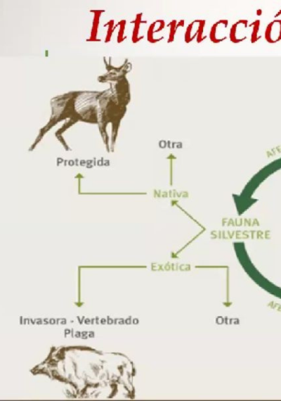 La fauna: Daños y perjuicios en Sanidad Vegetal