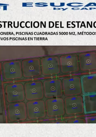 Construcción de estanques