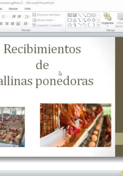 GALLINAS - 2: RECRÍA, SELECCIÓN DE PONEDORAS Y PRODUCCIÓN DE HUEVOS.
