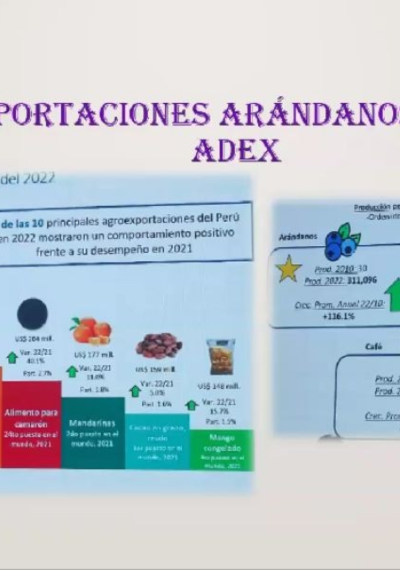 Injertación y mejoramiento genético en paltos