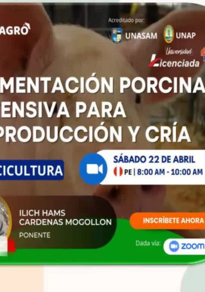 ALIMENTACIÓN PORCINA INTENSIVA PARA REPRODUCCIÓN Y CRÍA
