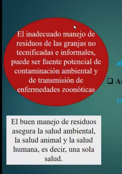 PREVENCIÓN DE ENFERMEDADES DE ANIMALES DE REPOSICIÓN, REPRODUCTORES Y LECHONES.
