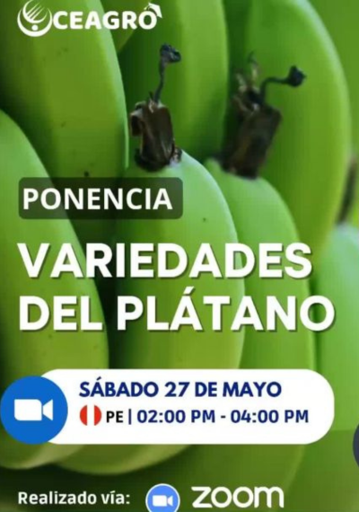 Variedades del plátano