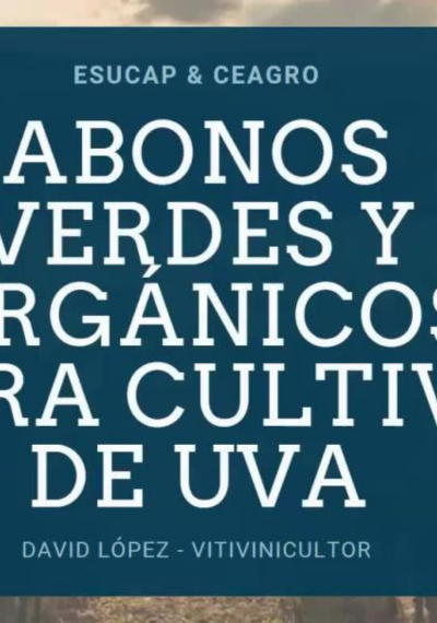 Abonos verdes y orgánicos para el cultivo de Uva