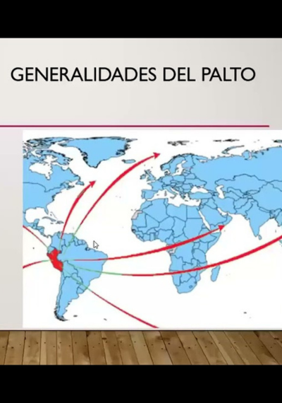 Generalidades del Palto